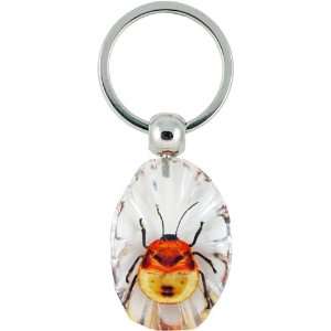  Amber / Clear Acrylic Beetle Key Ring 