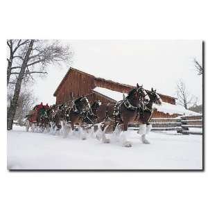  Clydesdales   Snowing in front of Barn   16x24 Canvas 