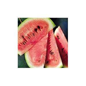  Verona Watermelon   1 lb. Patio, Lawn & Garden