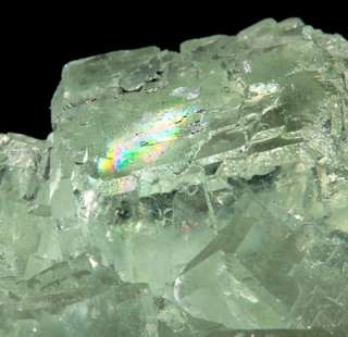 Museum 10 Sea Glass Green GEM FLUORITE Crystals China  