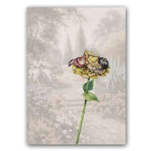  Baby Zinnia Fairy Combo 2   5 x 7 Vellum Overlay 