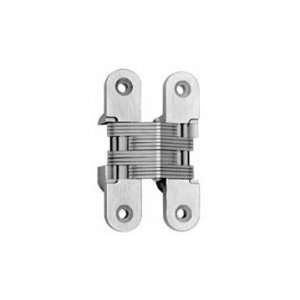  #216 Invisible Spring Closer Hinge Polished Brass