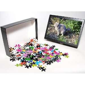   Puzzle of CAT   Defecating from Ardea Wildlife Pets Toys & Games