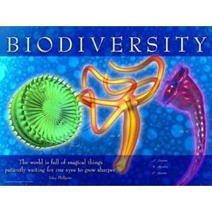  Biodiversity by Unknown 24x18