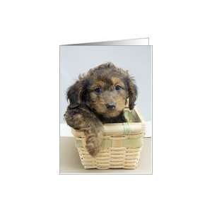  Birthday from Dachshund puppy in basket Card Health 