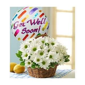   by 1800Flowers   Basket Full of Daisies with Get Well Balloon   Large