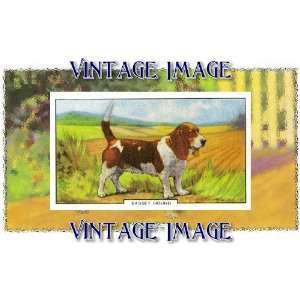   5cm) Acrylic Keyring Dogs Bassett Hound Vintage Image