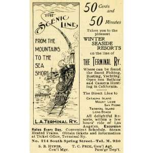   Ad Terminal Railway Catalina Mt. Lowe San Pedro   Original Print Ad