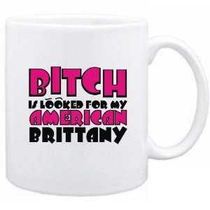  New  Bamerican Brittanytch Is Looked For My American 