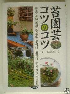 Japanese BONSAI Moss gardening and knack of it  