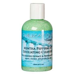  Chamfel Mentha Peppermint Exfoliating Face Cleanser 4 Oz 