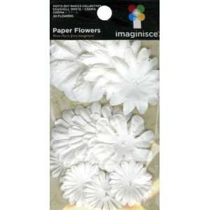  Gotta Buy Basics Paper Flowers 5 Shapes 1 To 2 20/Pkg 