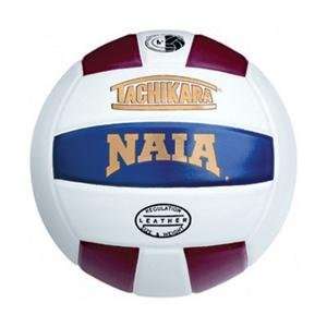   Worldwide Tachikara® Naia Leather Volleyball