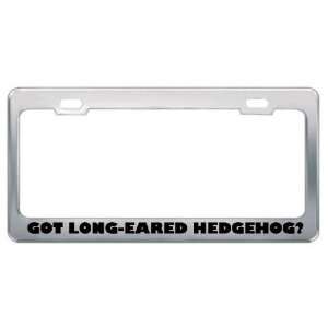 Got Long Eared Hedgehog? Animals Pets Metal License Plate Frame Holder 