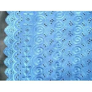  Light Blue Allover Cotton Eyelet Embroider Fabric 44 By 
