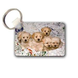  Cute puppy litter Keychain Key Chain Great Unique Gift 