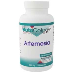  Allergy Research (Nutricology)   Artemesia, 500 mg, 100 
