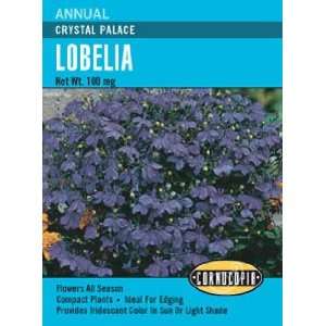  Lobelia Crystal Palace Seeds Patio, Lawn & Garden