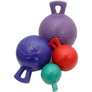 Jolly Ball Dog Toy 