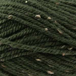  Plymouth Yarn Encore Chunky Tweed [Dark Green] Arts 