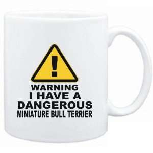   WARNING  DANGEROUS Miniature Bull Terrier  Dogs