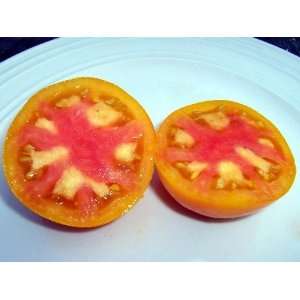  Pink Grapefruit Tomato Plant Patio, Lawn & Garden