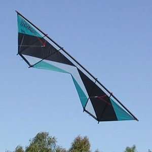   Quad Line Stunt Kite Aqua Black Made in the USA Toys & Games