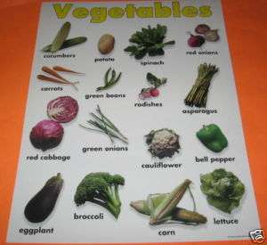 VEGETABLES Educational Poster Classroom Chart NEW  