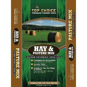  Hay and Pasture Grass Seed Mixture, 25 Pound Patio, Lawn & Garden