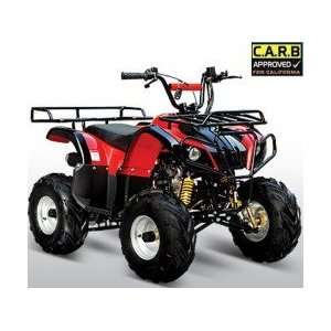  110cc ATA 110D ATV Youth