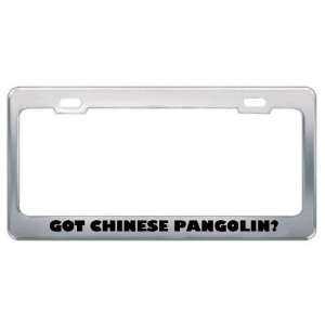 Got Chinese Pangolin? Animals Pets Metal License Plate Frame Holder 