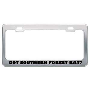 Got Southern Forest Bat? Animals Pets Metal License Plate Frame Holder 