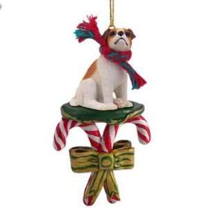 Candy Cane Brown & White Jack Russell Terrier Ornament  