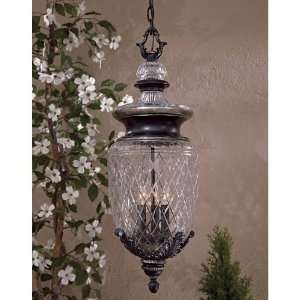   Collection 28 High Outdoor Hanging Light 