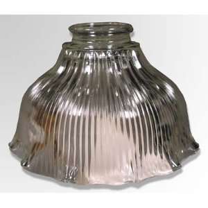  Ribbed Clear Glass, Scalloped Petal Glass Fitter Shade, 2 