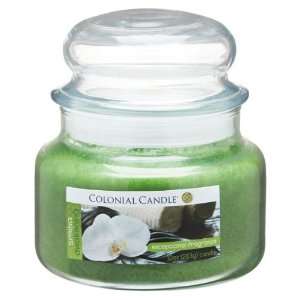  Colonial Candle Spring Awakening 10 oz Traditions Jar 