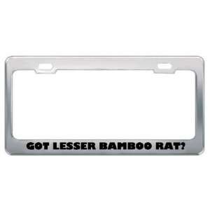 Got Lesser Bamboo Rat? Animals Pets Metal License Plate Frame Holder 