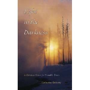  Light in the Darkness A Christian Vision for Unstable 