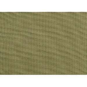  8914 Cody in Sage by Pindler Fabric