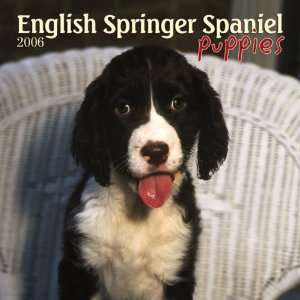  English Springer Spaniel Puppies 2006 Calendar 