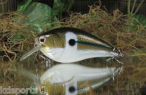 KDS Custom RC 2.5 Squarebill Crankbait With Rattles   Tennessee Shad 