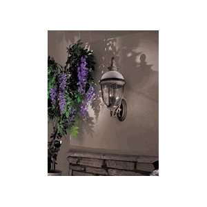  Outdoor Wall Sconces The Great Outdoors GO 8973