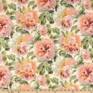   Tossed Florals Natural Fabric By The Yard Arts, Crafts & Sewing