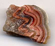 TURRITELLA AGATE Fossil Shell Specimen Polished Tumbled Rock Mineral 