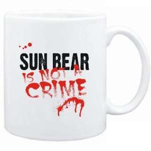    Being a  Sun Bear is not a crime  Animals