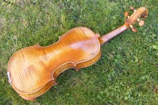 TIGER MAPLE VIOLIN 4/4 FULL SIZE   SELECT AGED MAPLE ++  