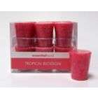 Essential Home Tropical Blossom Scented Votive Candle