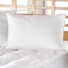   count 100 percent cotton body pillow covers with zippered closure