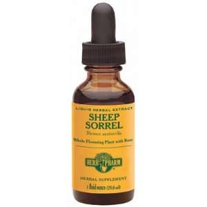  Sheep Sorrel Extract   1 oz   Liquid Health & Personal 