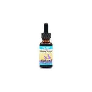  Echinacea and Astragalus 1 fl.oz